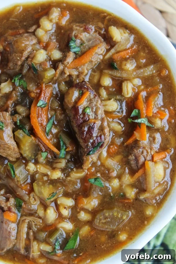 The Food Charlatan's 2014 Recipe Hall of Fame: Our Top 5 4 Hearty Slow Cooker Beef Barley Soup, a comforting family recipe from The Food Charlatan.