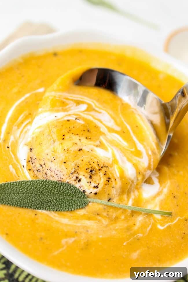 Roasted Butternut Squash Soup from The Food Charlatan. An easy, healthy, warm dinner that will support your crusade against Jack Frost. Roast butternut squash in the oven, then blend it up with some apples, onions, and sage. #butternutsquash #soup #roasted #squash #fallrecipes #sage #apples #creamy #healthy A close-up shot of a soup spoon gracefully dipping into a bowl of creamy butternut squash soup, adorned with a swirl of cream, fresh sage leaves, and a sprinkle of black pepper.