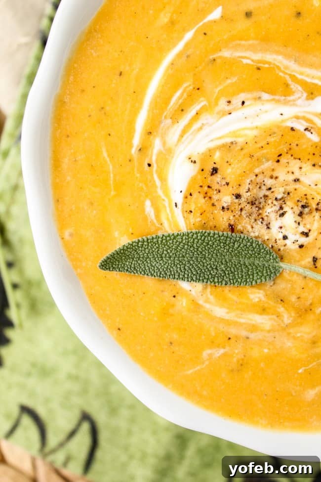 Roasted Butternut Squash Soup from The Food Charlatan. An easy, healthy, warm dinner that will support your crusade against Jack Frost. Roast butternut squash in the oven, then blend it up with some apples, onions, and sage. #butternutsquash #soup #roasted #squash #fallrecipes #sage #apples #creamy #healthy A close-up, appetizing shot of a bowl of creamy roasted butternut squash soup, garnished with a generous swirl of fresh cream, a dusting of black pepper, and vibrant fresh sage leaves.