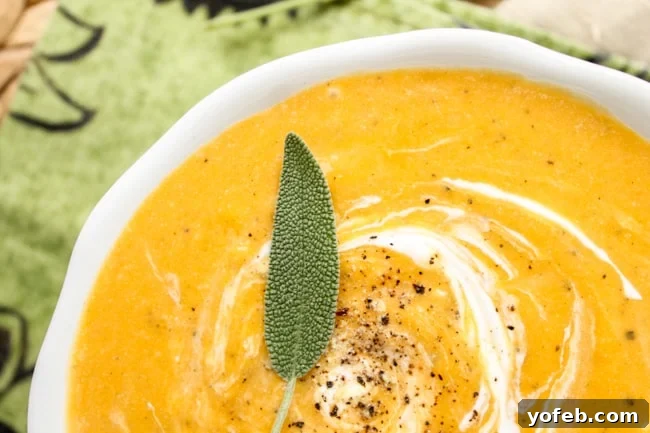 Velvety Roasted Butternut Apple Soup 3 Roasted Butternut Squash Soup from The Food Charlatan