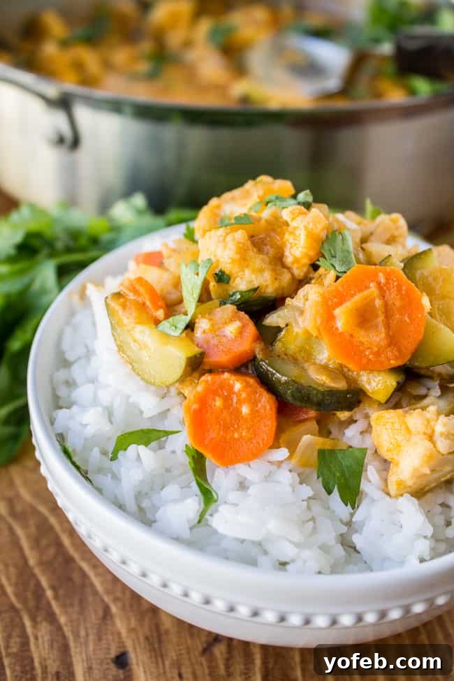 Effortless 6-Ingredient One-Pot Vegetable Curry 6 A beautifully plated bowl of homemade vegetable curry, served with a side of fluffy white rice, ready for a satisfying meal.