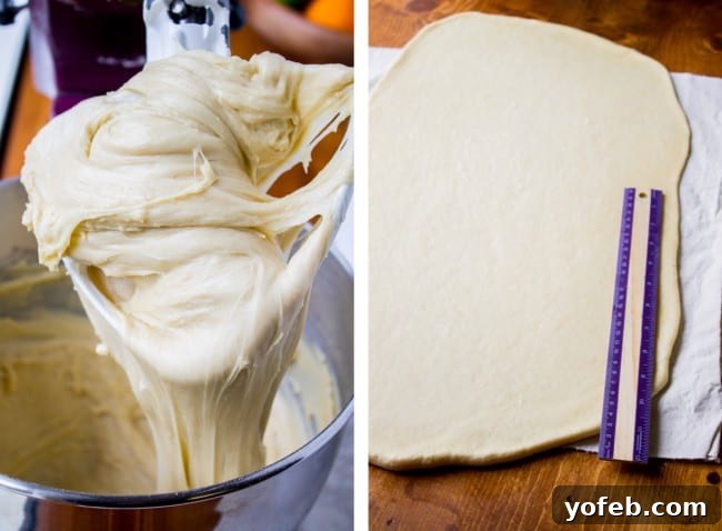 Soft, elastic dough for raspberry sweet rolls after kneading, ready for its first rise.