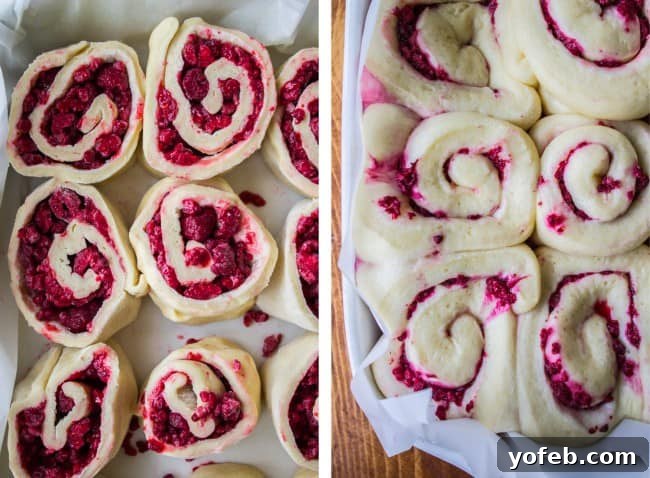 Raspberry sweet rolls rising in the baking pan, showing their increased volume and puffiness.