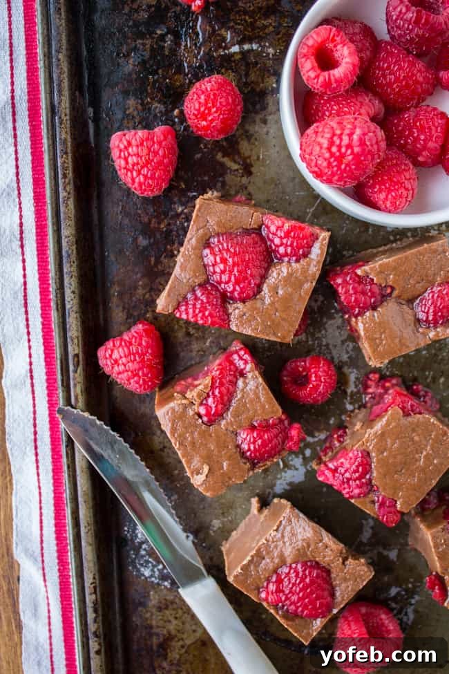 Velvet Nutella Raspberry Squares 2 Nutella Fudge with Raspberries from The Food Charlatan