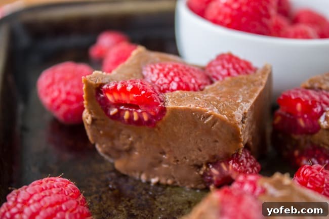 Velvet Nutella Raspberry Squares 3 Nutella Fudge with Raspberries from The Food Charlatan