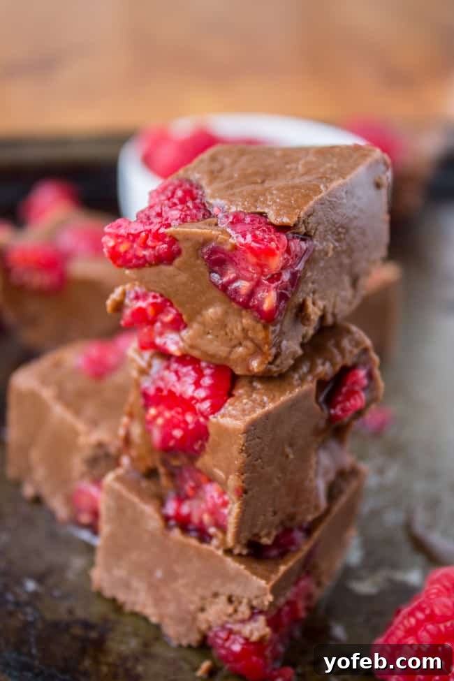 Velvet Nutella Raspberry Squares 4 Nutella Fudge with Raspberries from The Food Charlatan