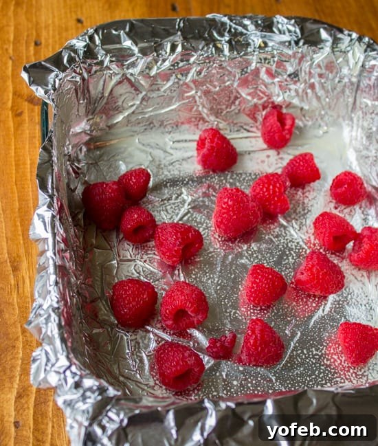 Velvet Nutella Raspberry Squares 6 Nutella Fudge with Raspberries from The Food Charlatan
