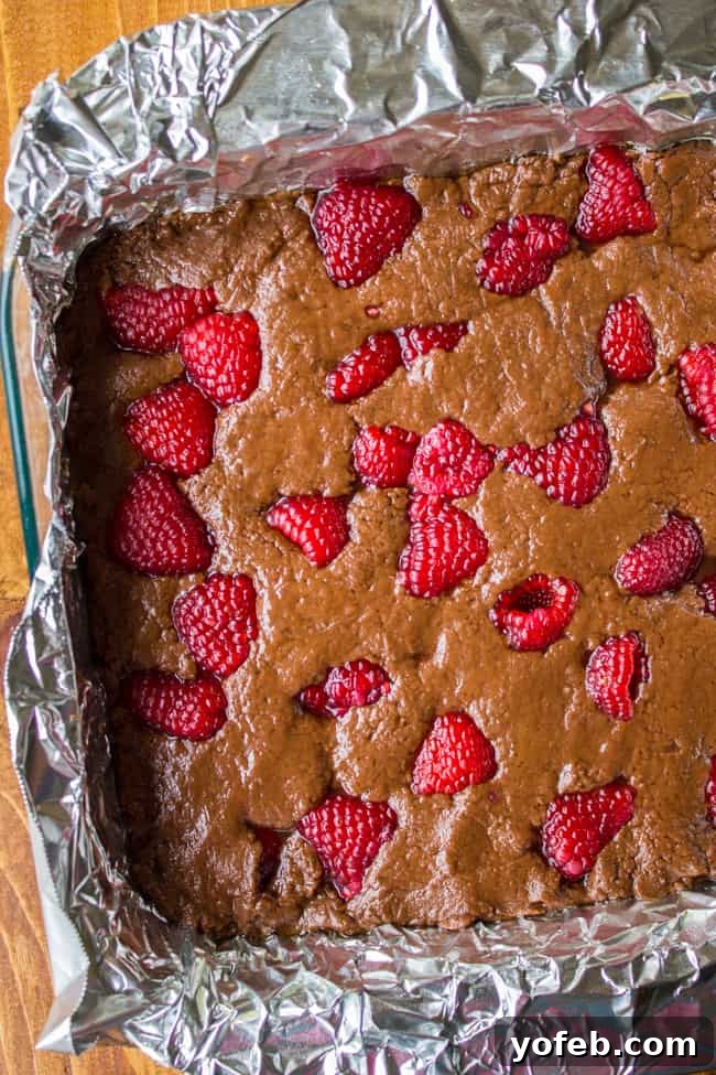 Velvet Nutella Raspberry Squares 7 Nutella Fudge with Raspberries from The Food Charlatan