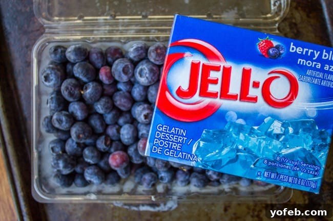 Frozen Blueberries and Jell-O Frozen Blueberries and Jell-O Powder Ready for Candy Creation