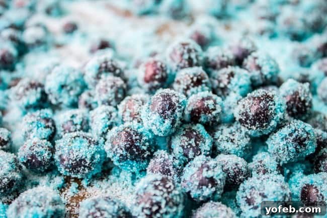 Frozen Blueberry Candy Treat Close-up of Elsa's Frozen Blueberry Candy, ready to serve