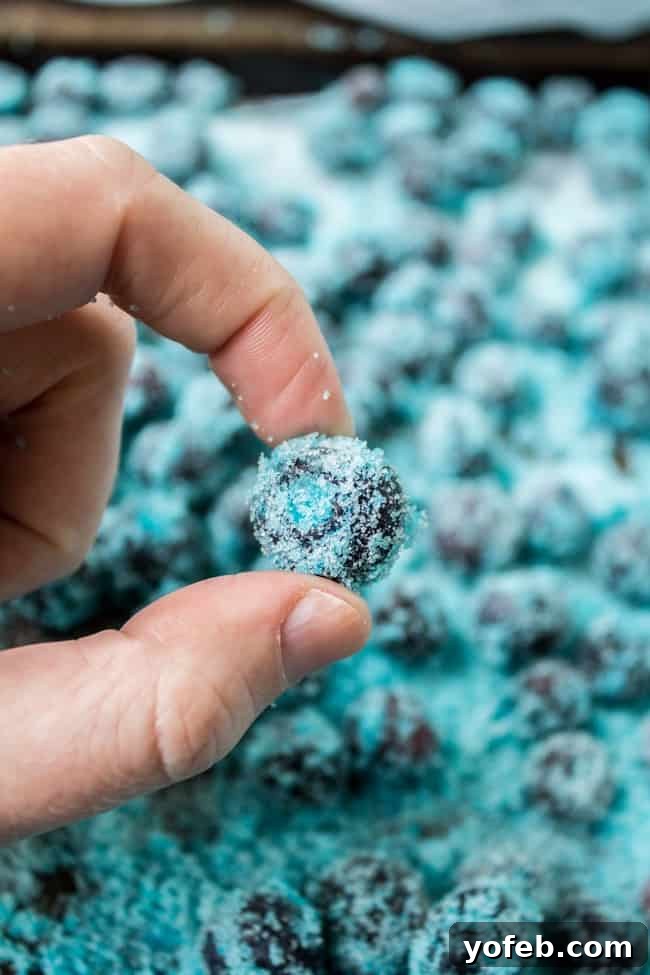 Frozen Blueberry Candy: Delicious Party Treat Elsa's Frozen Blueberry Candy presented on a platter