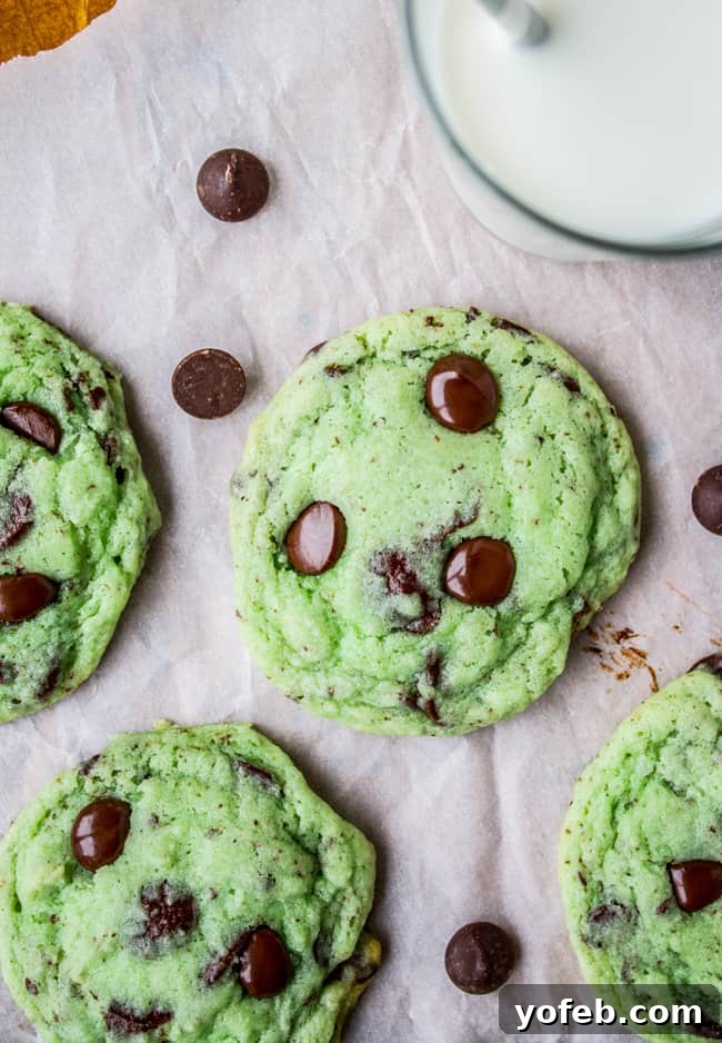 Mint Chocolate Chip Cookies: Melted chocolate and vibrant mint flavor. Freshly baked Mint Chocolate Chip Cookies with melted chocolate chips, shot from overhead.
