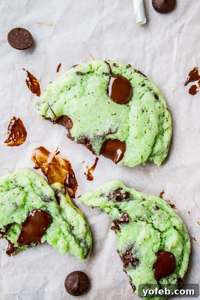 Indulge in a delightful minty chocolate experience. Broken Mint Chocolate Chip Cookies with melty chocolate, perfect for sharing.