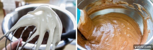 Golden Honey Chocolate Cloud 10 Folded egg whites into chocolate mixture for chiffon pie