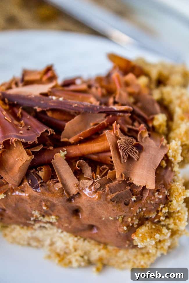 Golden Honey Chocolate Cloud 12 An older photo of the Chocolate Honey Chiffon Pie, from 2012