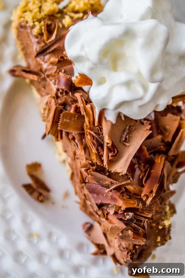 Golden Honey Chocolate Cloud 5 Another view of the Chocolate Honey Chiffon Pie, garnished with chocolate curls