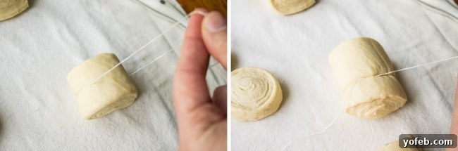 Pillowy Easter Bunny Dinner Rolls 11 Dental floss being used to cut dough cleanly, a tip for achieving perfectly shaped rolls.