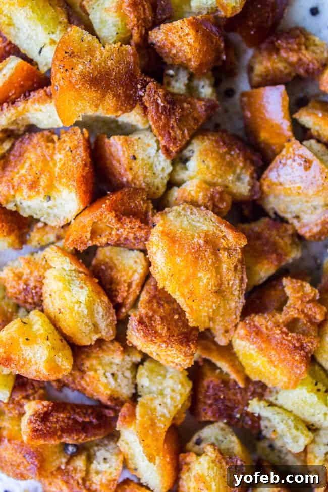 Refreshing Strawberry Panzanella 10 Golden-brown fried bread cubes for Panzanella