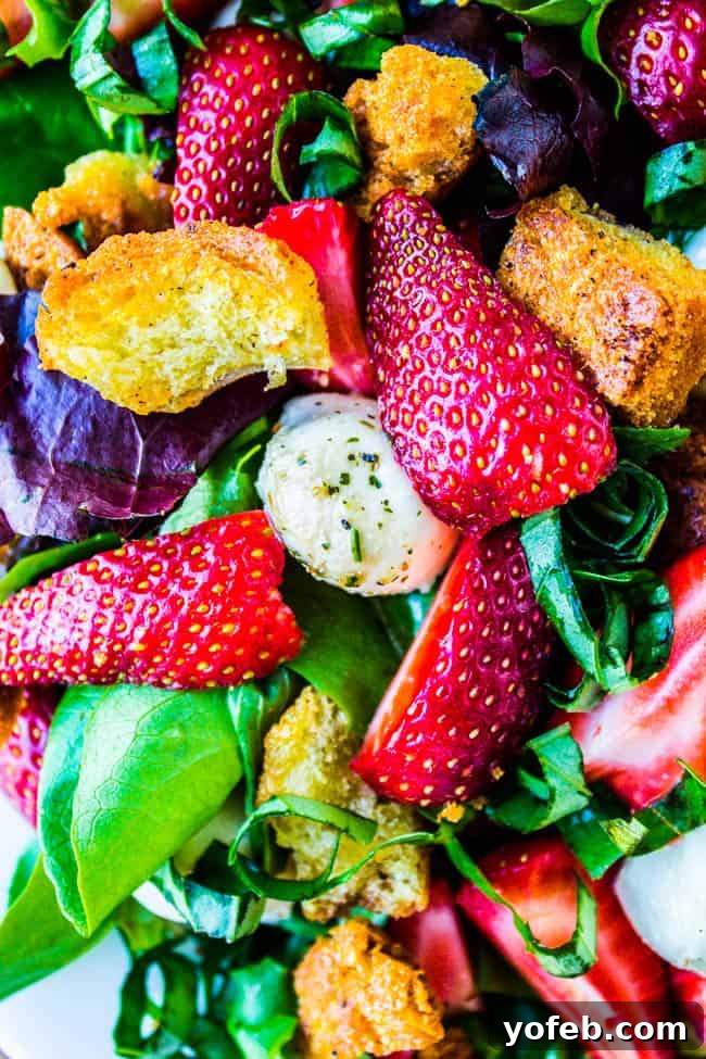 Strawberry Panzanella Salad from The Food Charlatan