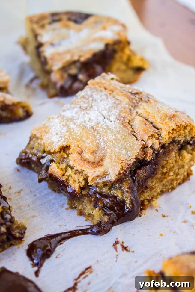 Decadent Peanut Butter Ganache Squares 2 Rich Ganache-Stuffed Peanut Butter Bars, gooey and delicious