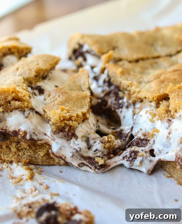 Decadent Peanut Butter Ganache Squares 11 Campfire-inspired Peanut Butter S'mores Bars