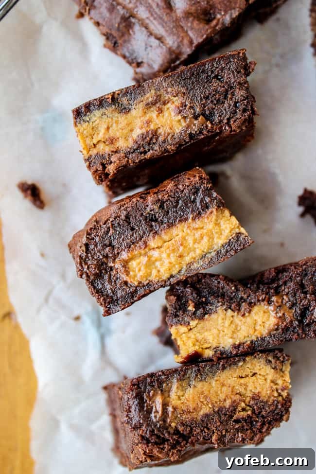Decadent Peanut Butter Ganache Squares 12 Decadent Reese's Stuffed Brown Butter Brownies from The Food Charlatan