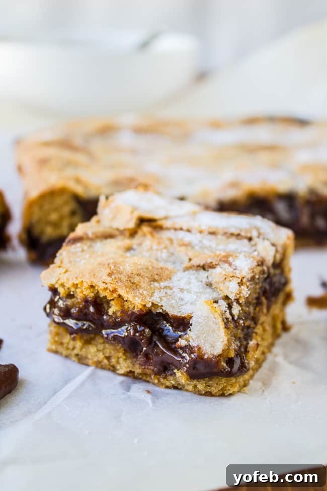 Decadent Peanut Butter Ganache Squares 8 Peanut Butter Bars with generous chocolate ganache filling