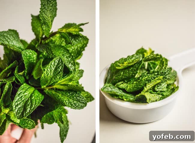 Zesty Cuban Mojo Pork Roast 4 Fresh mint leaves, a key ingredient for the vibrant Mojo marinade, in a white measuring cup.