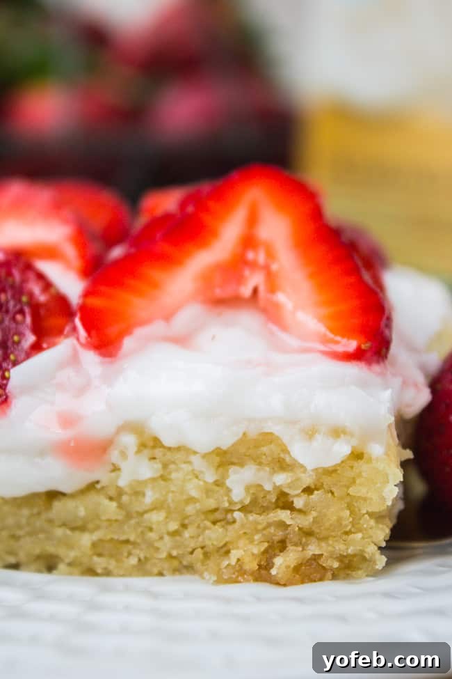 Toasted Coconut Almond Sheet Cake 2 Deliciously moist Vegan Coconut Almond Sheet Cake, freshly baked and frosted.