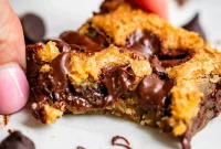Chewy Chocolate Chip Squares