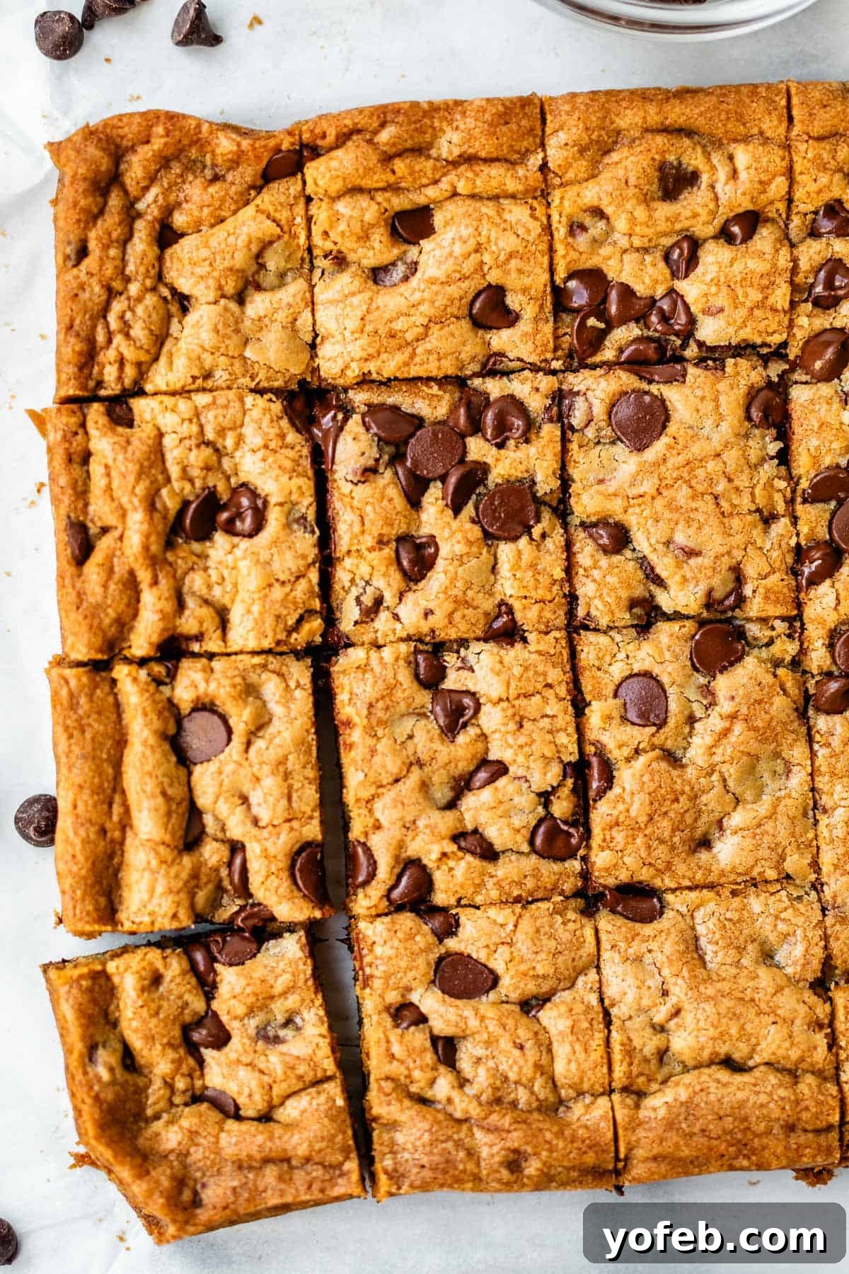 Chewy Chocolate Chip Squares 17 A batch of chocolate chip cookie bars cut into squares on a white surface, with a few chocolate chips scattered nearby.