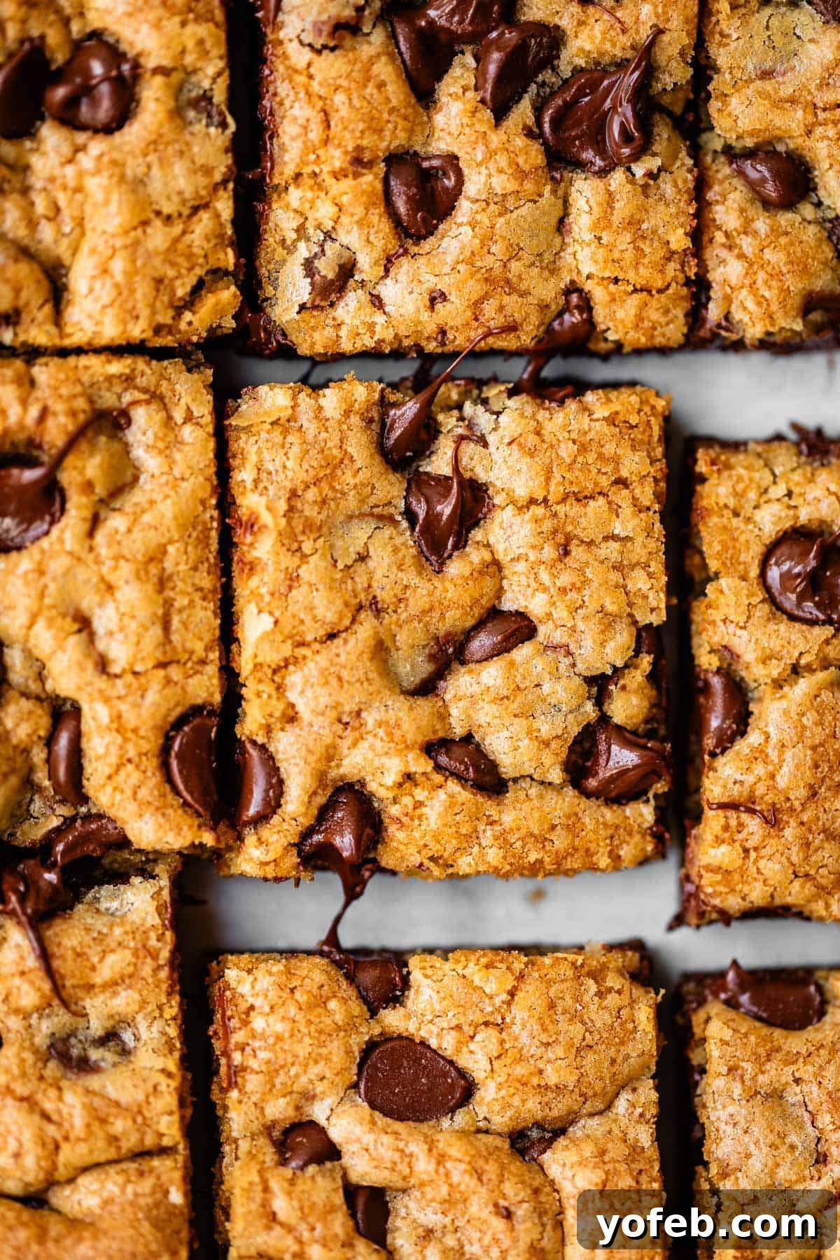 Chewy Chocolate Chip Squares 3 Close-up of several chocolate chip blondie bars cut into squares, showing a golden-brown, slightly crumbly texture with melted chocolate chips on top.