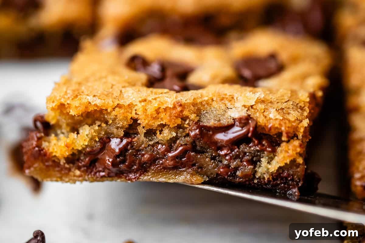 Chewy Chocolate Chip Squares 5 A close-up of a gooey chocolate chip cookie bar with melted chocolate chunks, golden brown edges, and a soft, chewy interior on a spatula.