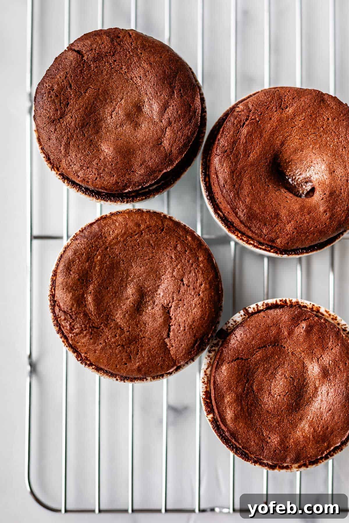 Molten Chocolate Magic 23 Four baked chocolate soufflés in white ramekins cooling on a metal wire rack, seen from above. The soufflés have risen tops with a slightly cracked, rich brown surface.