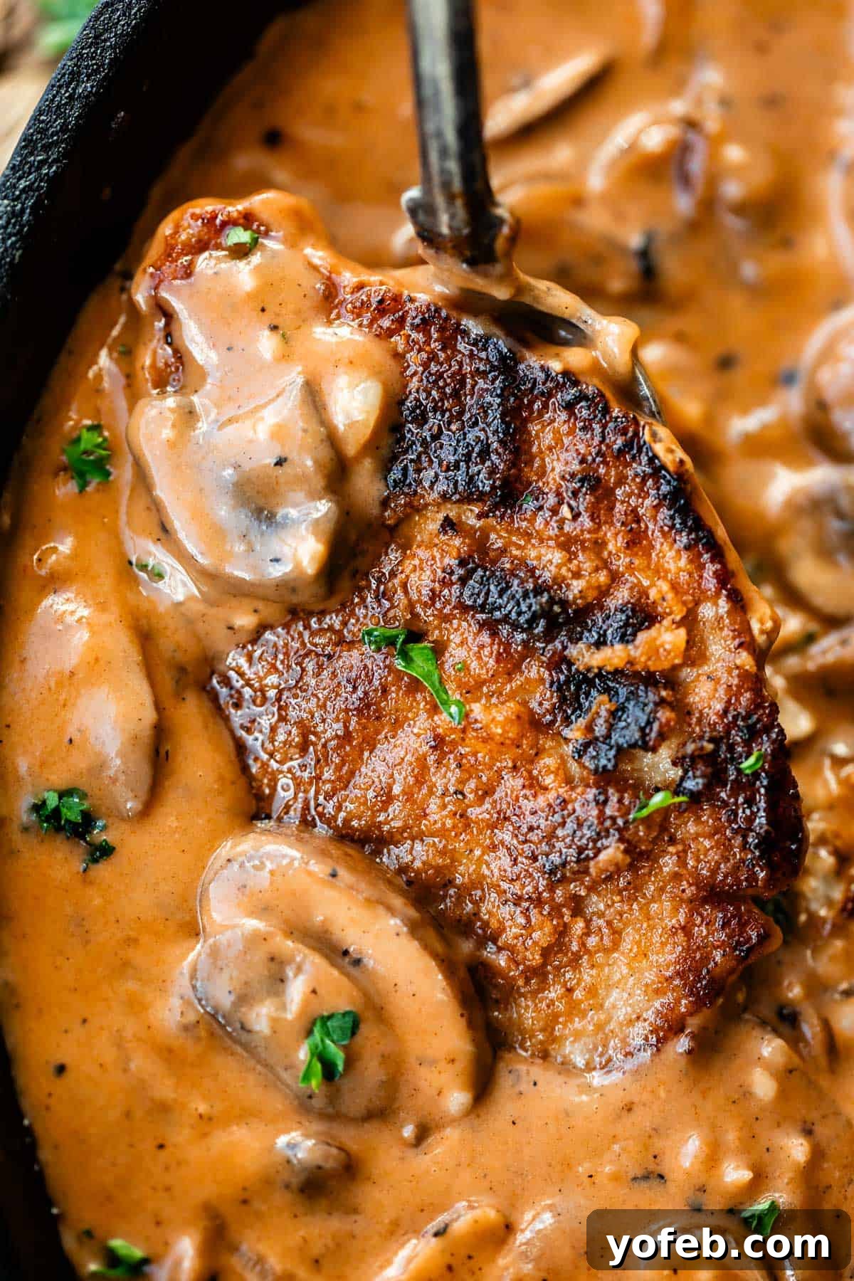 Tender Smothered Pork Chops 22 A golden-brown, crispy pork chop topped with creamy mushroom sauce and garnished with parsley, served in a skillet.