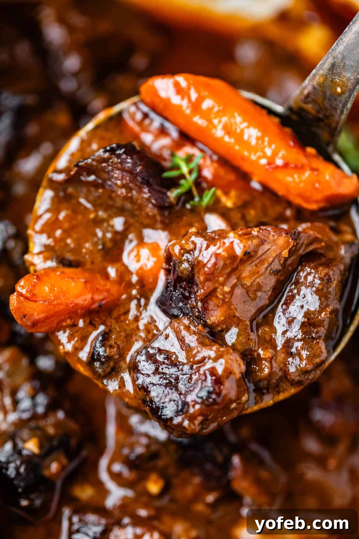 Hearty Irish Beef Stew 4 A close-up of a ladle holding hearty beef stew with chunks of tender beef, glazed carrots, and a rich, glossy brown sauce, garnished with a sprig of fresh thyme.