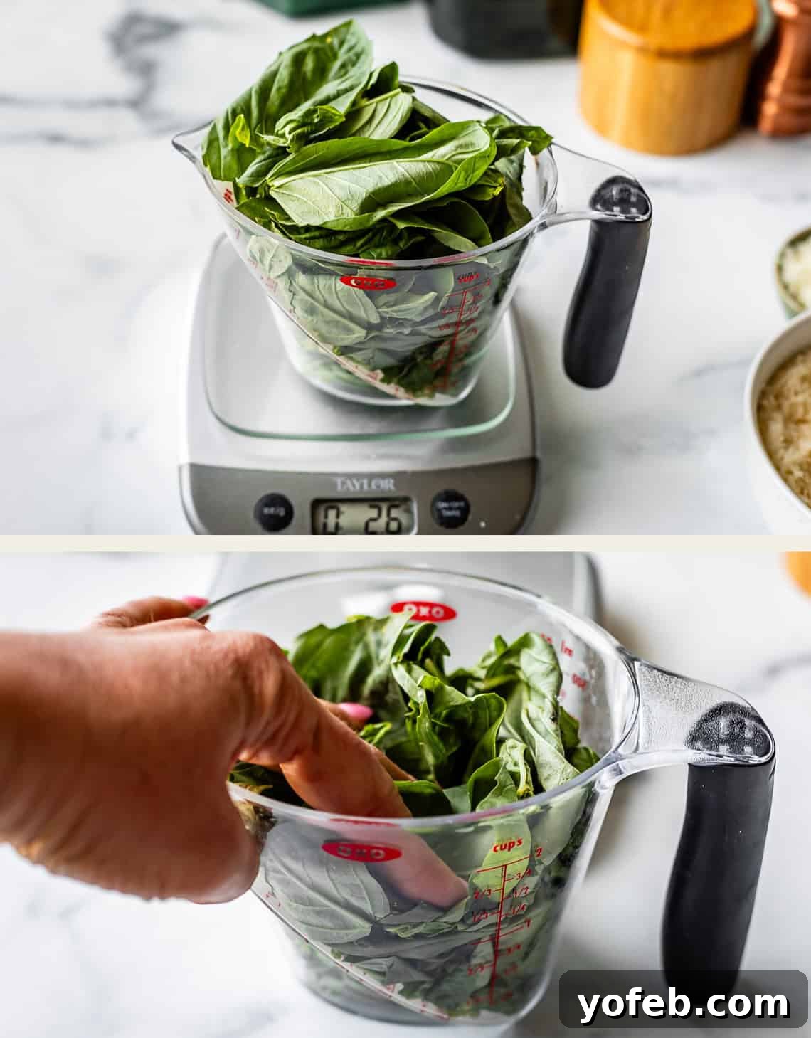 Vibrant Basil Pesto 15 A clear measuring cup filled with fresh basil leaves sits on a kitchen scale reading 2.6 oz. In the second image, a hand presses down on the basil leaves in the cup. Marble countertop and kitchen items are visible in the background.