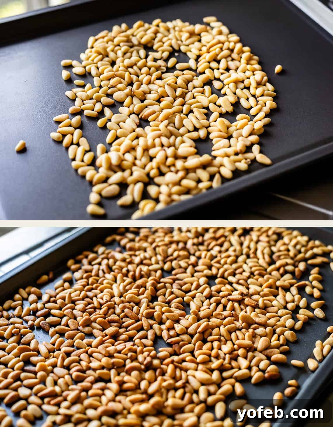 Vibrant Basil Pesto 7 Two images: the top shows raw pine nuts scattered on a baking sheet; the bottom shows the same pine nuts after roasting, now golden brown and evenly distributed on the sheet.