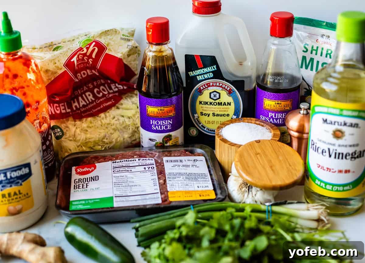 Crispy Egg Roll Bowl: Stir-Fry Recipe Without Wrappers 6 Assorted ingredients on a counter including ground beef, shredded cabbage, hoisin sauce, soy sauce, rice vinegar, mayonnaise, sesame oil, sugar, fresh ginger, green onions, a cucumber, and a bag of shirataki noodles.