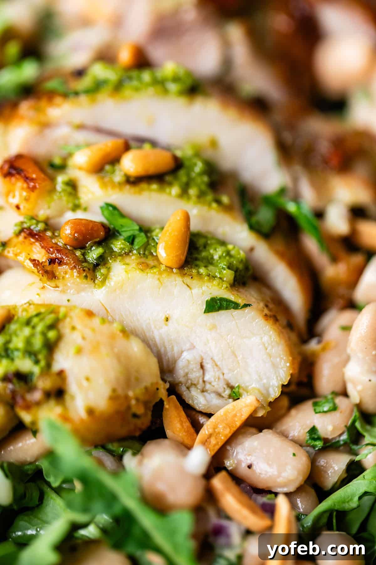 Basil Chicken Salad with Peppery Arugula and Lemon Vinaigrette 10 Close-up of sliced grilled chicken breast topped with green pesto and pine nuts, served on a bed of salad greens and white beans.