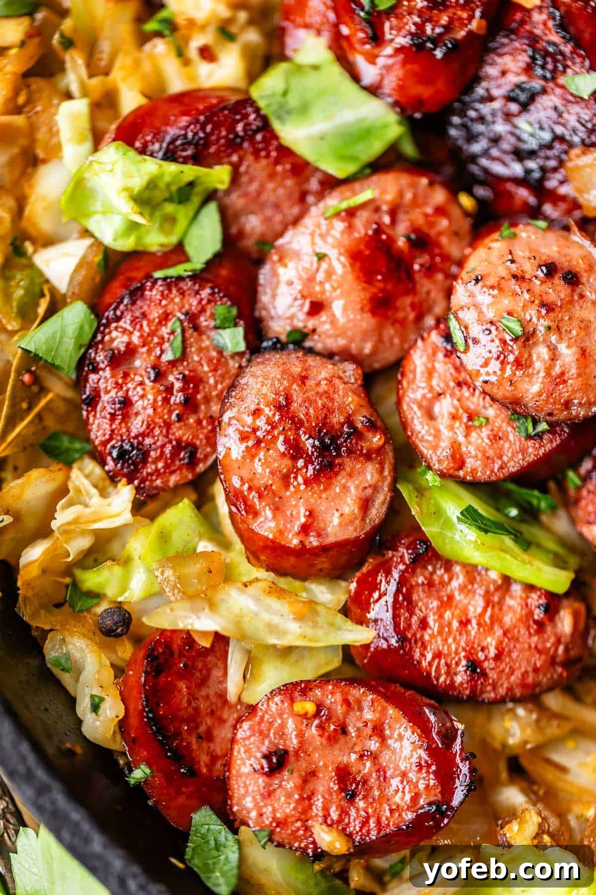 One-Pan Kielbasa and Cabbage Skillet Recipe for Quick Dinners 5 Sliced, browned sausage pieces and cooked cabbage garnished with fresh herbs in a skillet, showing a savory and hearty meal.