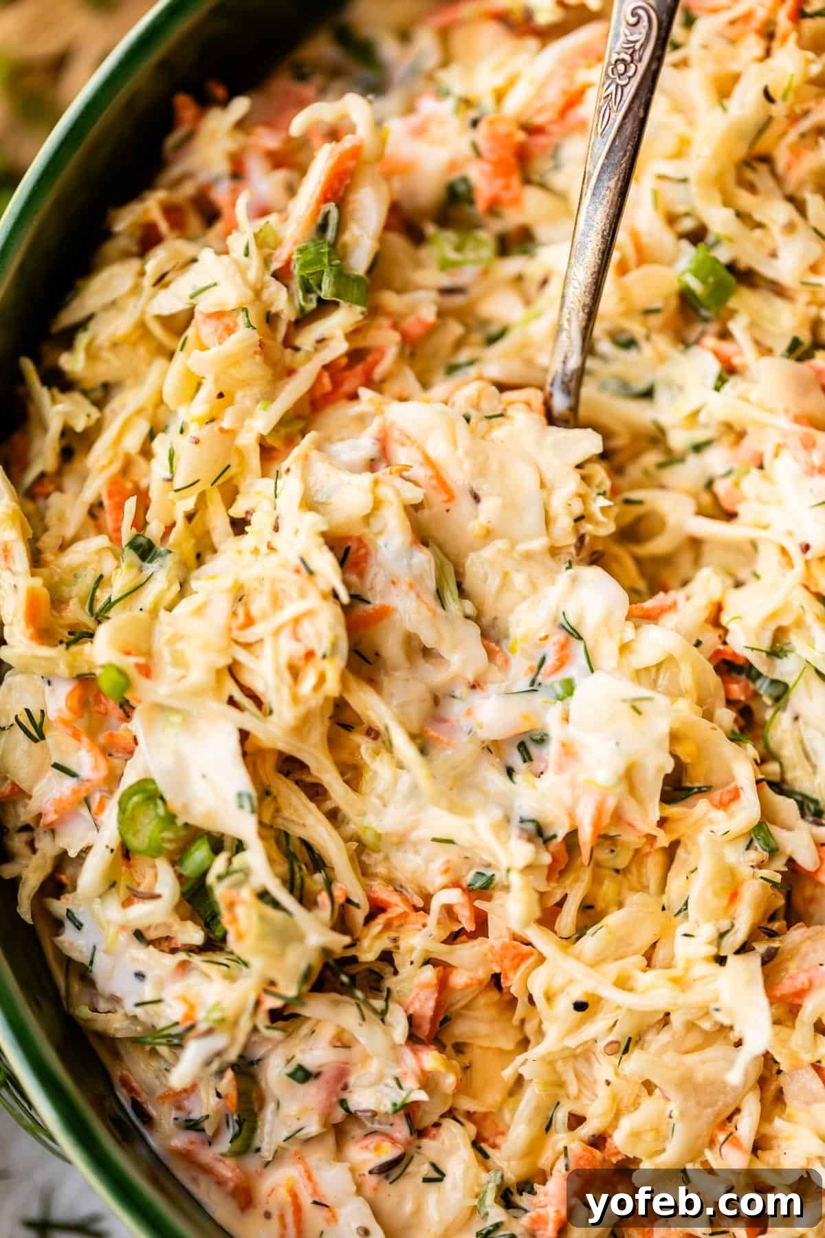 Classic Creamy Coleslaw Recipe with Tangy Dressing 12 A close-up of creamy coleslaw with shredded cabbage, carrots, green onions, and fresh herbs in a bowl with a serving spoon.