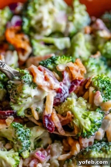 Classic Creamy Coleslaw Recipe with Tangy Dressing 14 close up picture of spoonful of broccoli bacon salad with cranberry