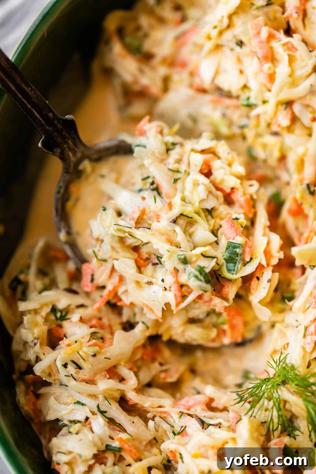 Classic Creamy Coleslaw Recipe with Tangy Dressing 19 A close-up of creamy coleslaw being served with a spoon, showing shredded cabbage, carrots, herbs, and a creamy dressing. A sprig of dill garnishes the dish.