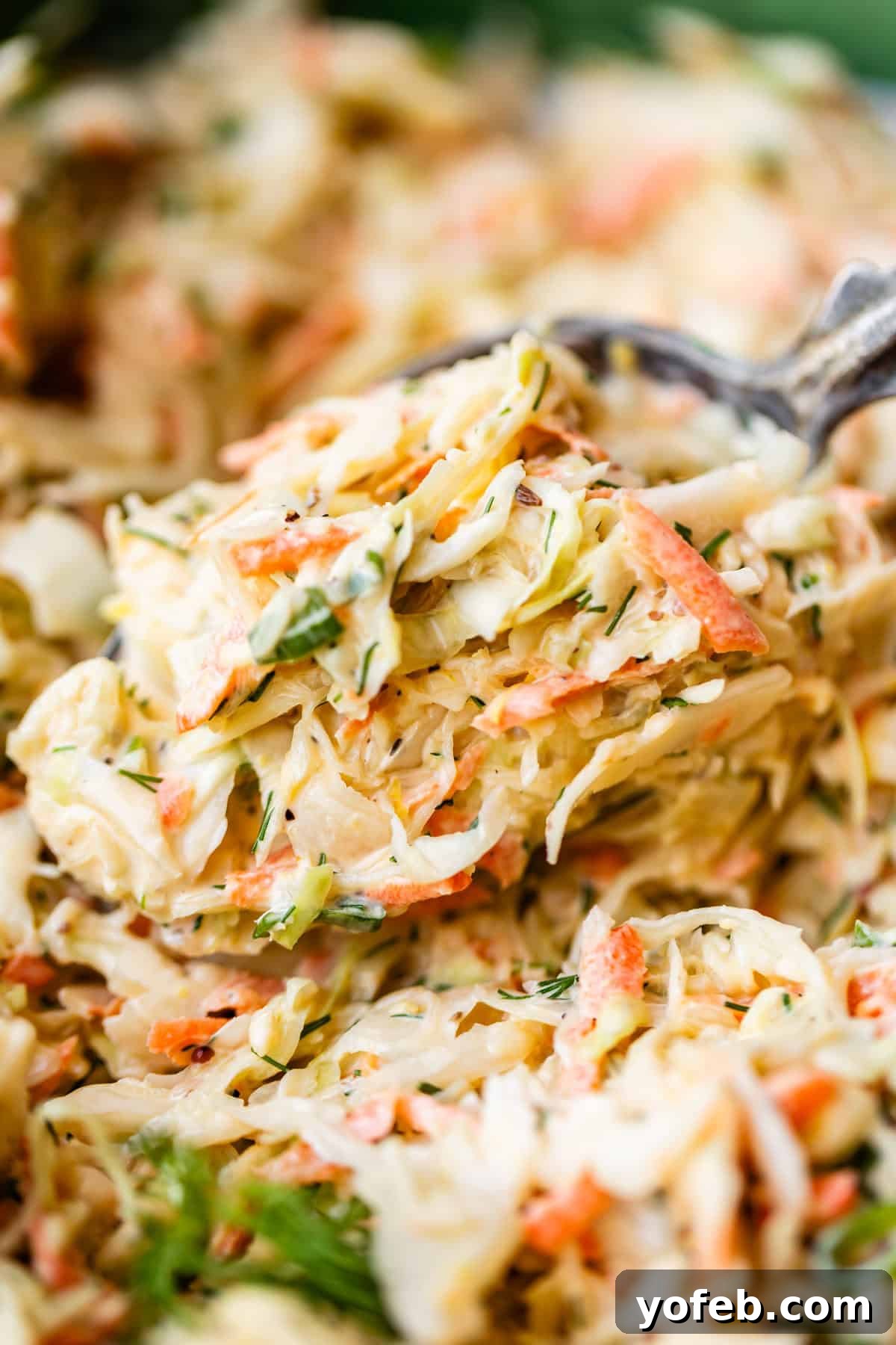 Classic Creamy Coleslaw Recipe with Tangy Dressing 4 A close-up of creamy coleslaw with shredded cabbage, carrots, and fresh herbs being scooped with a fork.