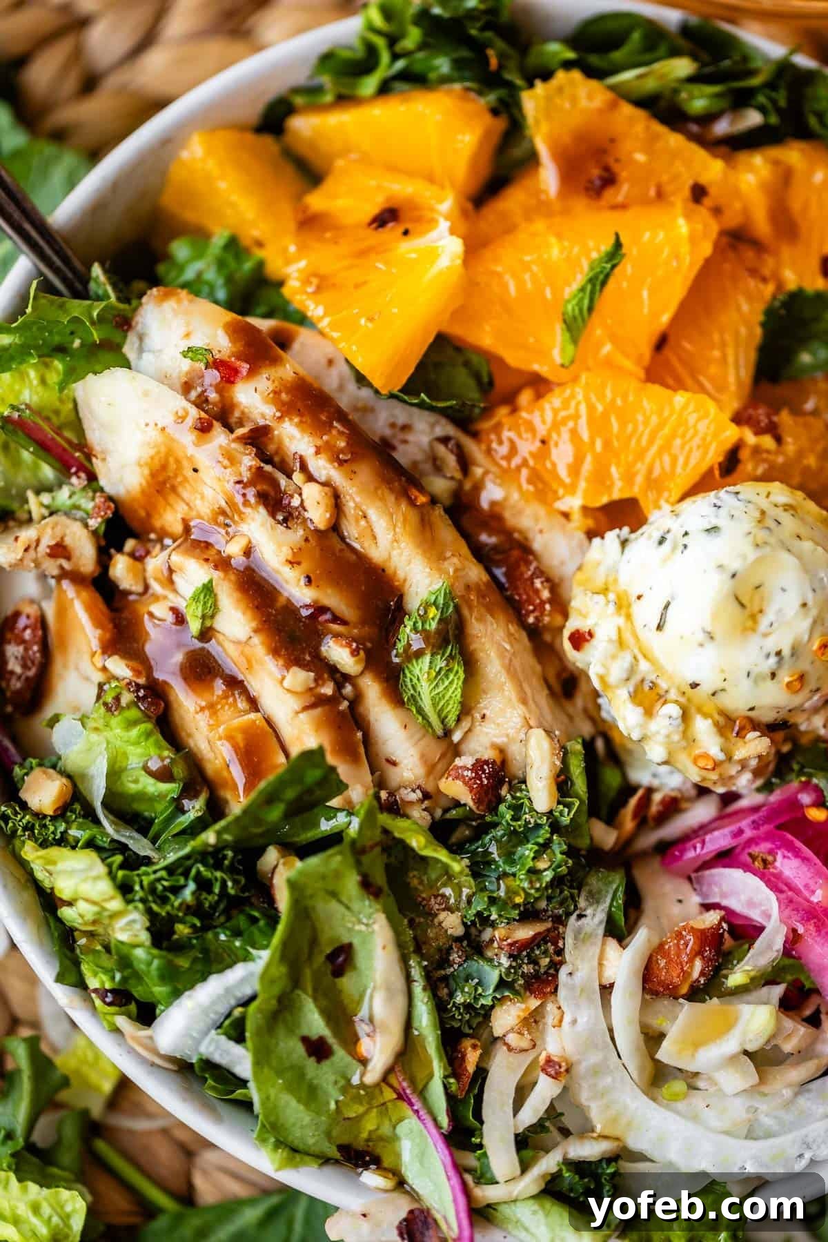 Mendocino Copycat Citrus and Goat Cheese Salad 19 A salad bowl with sliced grilled chicken, mixed greens, orange segments, red onions, nuts, seeds, and a scoop of herb butter, all drizzled with dressing.