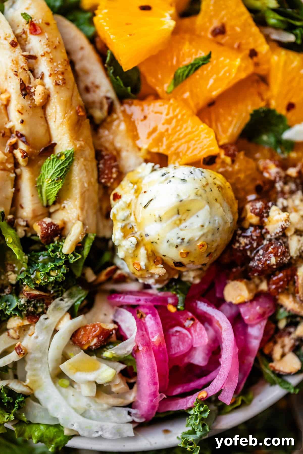 Mendocino Copycat Citrus and Goat Cheese Salad 5 A close-up of a vibrant salad with sliced chicken, orange segments, goat cheese, pickled onions, fennel, kale, nuts, and fresh mint leaves.
