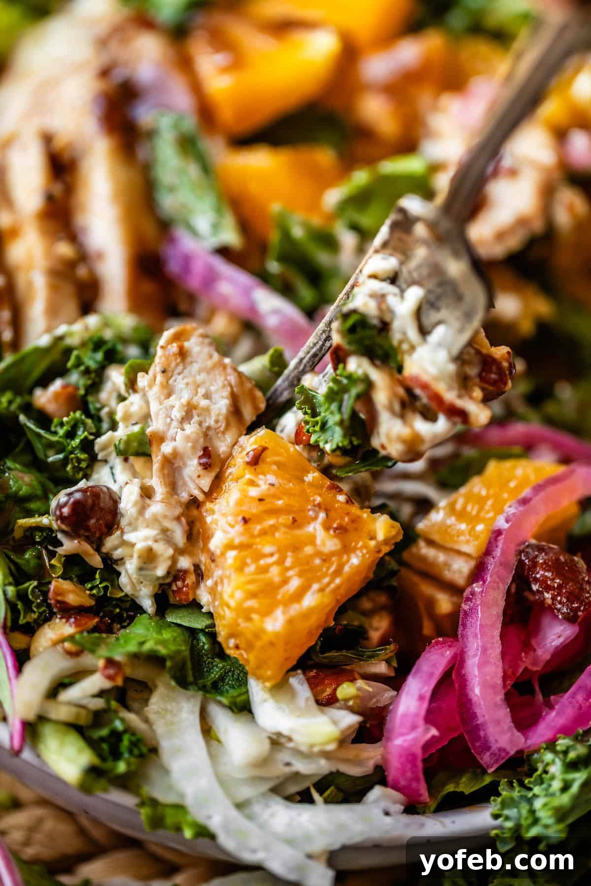 Mendocino Copycat Citrus and Goat Cheese Salad 6 A close-up of a fork holding a bite of salad with grilled chicken, orange slices, kale, pickled red onions, and creamy dressing. Other salad ingredients are visible in the background.