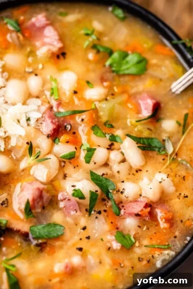Authentic Mexican Black Beans Recipe with Garlic and Cilantro 16 close up looking at ham and bean soup with garnish like cheese, parsley, and pepper.