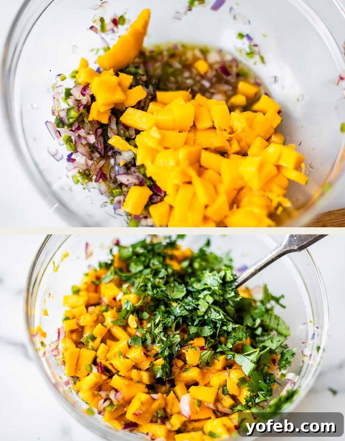 Zesty Mango Salsa Recipe with Lime and Cilantro 14 Two images of a glass bowl: first shows chopped mango, red onion, and herbs; second shows the same, now mixed with chopped cilantro and a spoon inside.